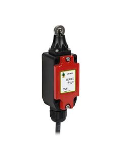 Limit Switch Atex Roller Plunger 1 N/O 1 N/C, 5 M cable